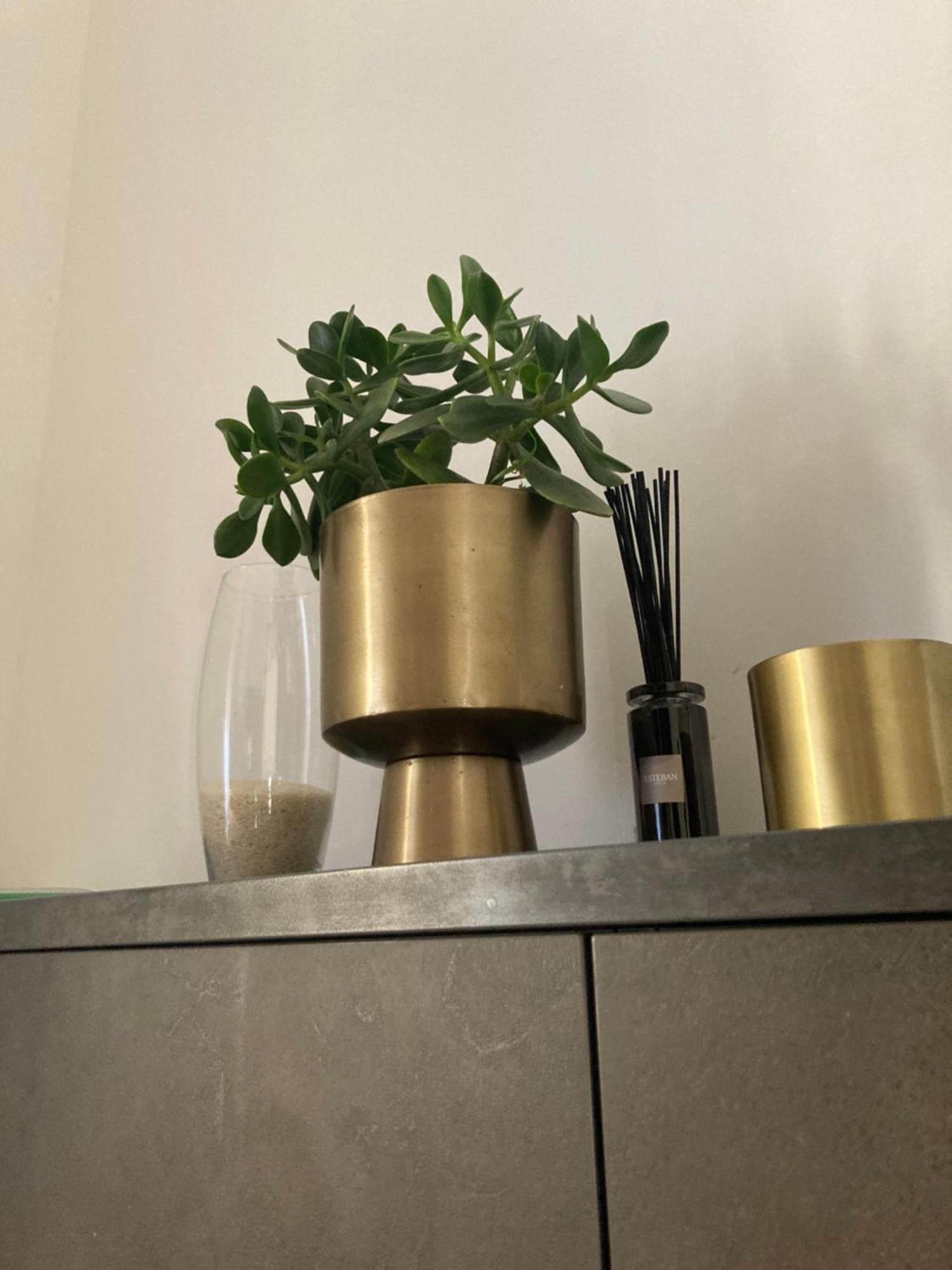 Spacieux Confort Cite Imperiale Appartement Ajaccio (Corsica)